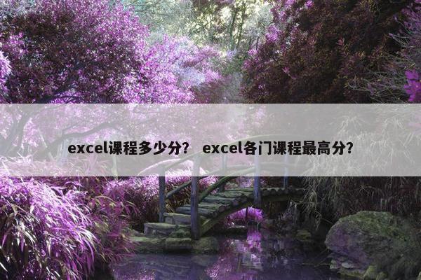excel课程多少分？ excel各门课程最高分？