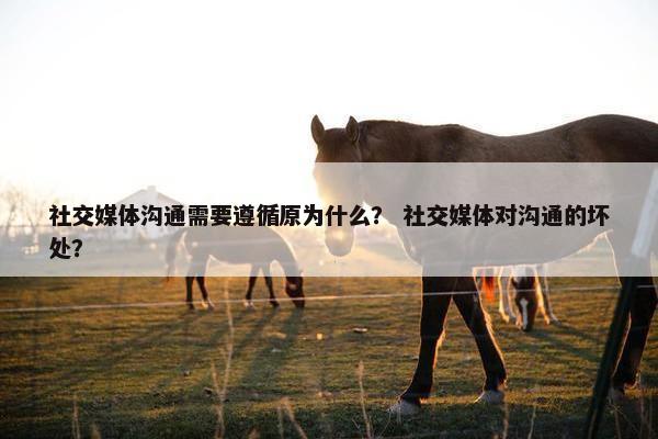 社交媒体沟通需要遵循原为什么？ 社交媒体对沟通的坏处？