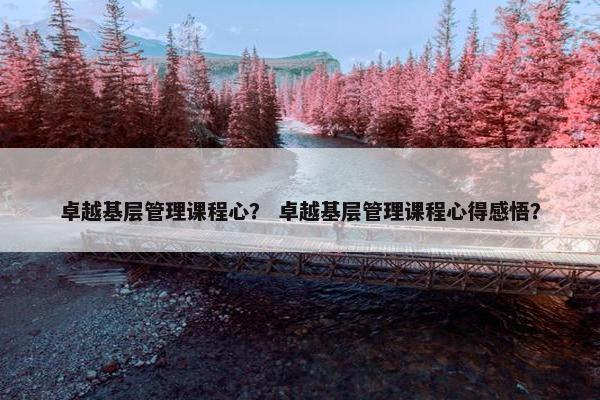 卓越基层管理课程心？ 卓越基层管理课程心得感悟？