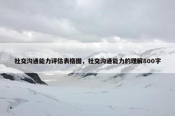 社交沟通能力评估表格图，社交沟通能力的理解800字