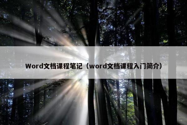 Word文档课程笔记（word文档课程入门简介）