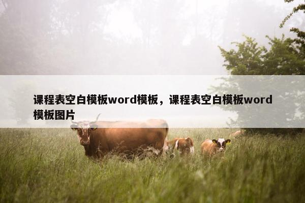 课程表空白模板word模板，课程表空白模板word模板图片