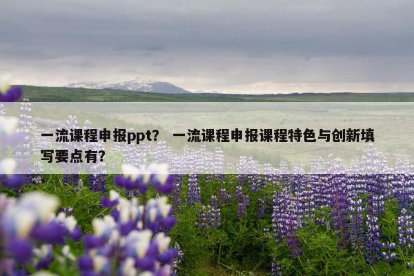 一流课程申报ppt？ 一流课程申报课程特色与创新填写要点有？