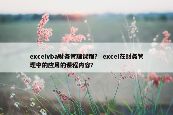 excelvba财务管理课程？ excel在财务管理中的应用的课程内容？