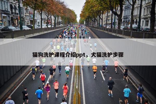 猫狗洗护课程介绍ppt，犬猫洗护步骤