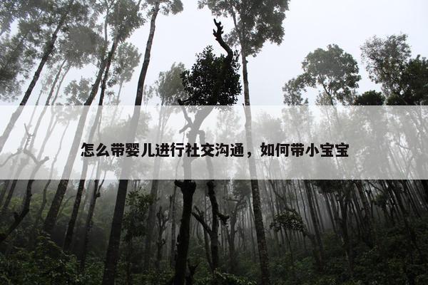 怎么带婴儿进行社交沟通，如何带小宝宝
