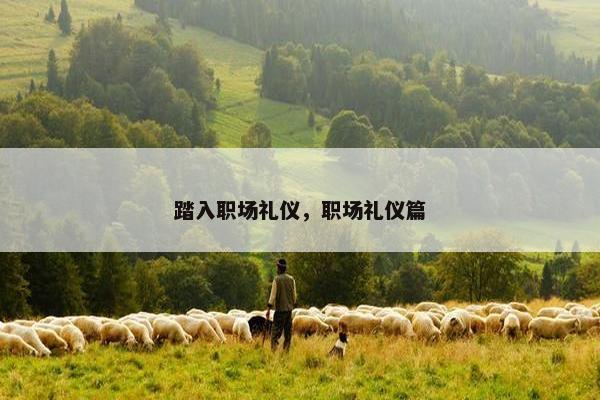 踏入职场礼仪，职场礼仪篇