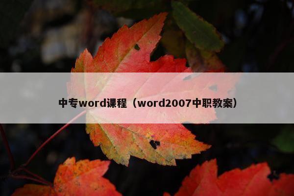中专word课程（word2007中职教案）