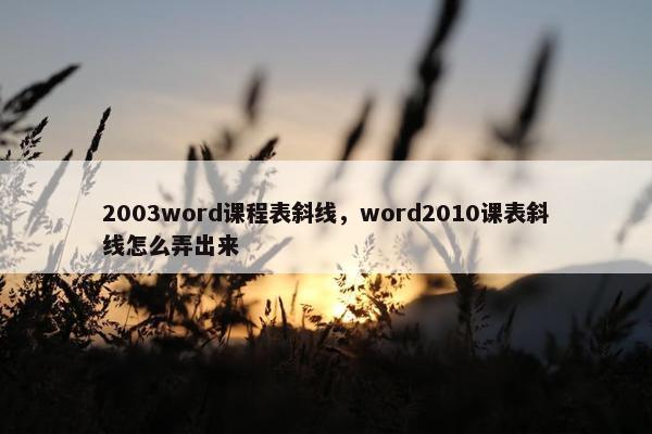 2003word课程表斜线，word2010课表斜线怎么弄出来