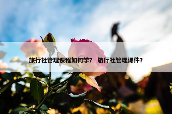 旅行社管理课程如何学？ 旅行社管理课件？