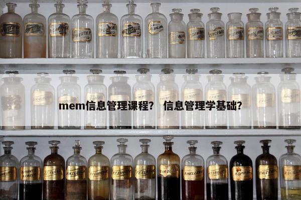 mem信息管理课程？ 信息管理学基础？