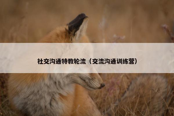 社交沟通特教轮流（交流沟通训练营）