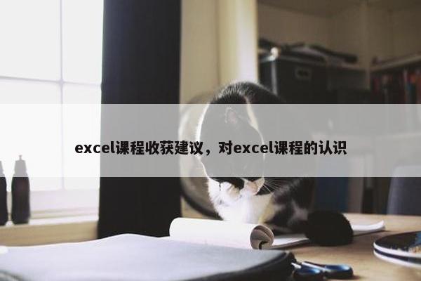 excel课程收获建议，对excel课程的认识