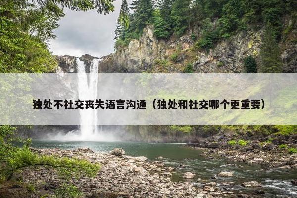 独处不社交丧失语言沟通（独处和社交哪个更重要）