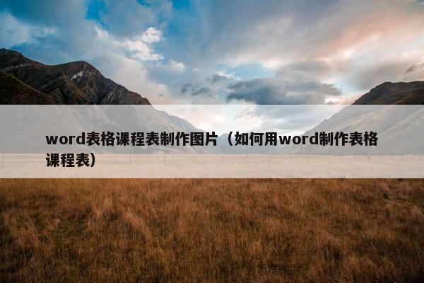 word表格课程表制作图片（如何用word制作表格课程表）