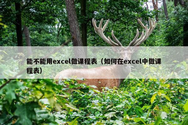 能不能用excel做课程表（如何在excel中做课程表）