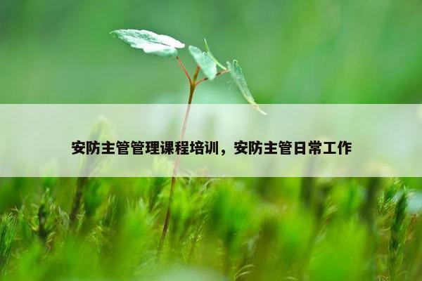 安防主管管理课程培训，安防主管日常工作