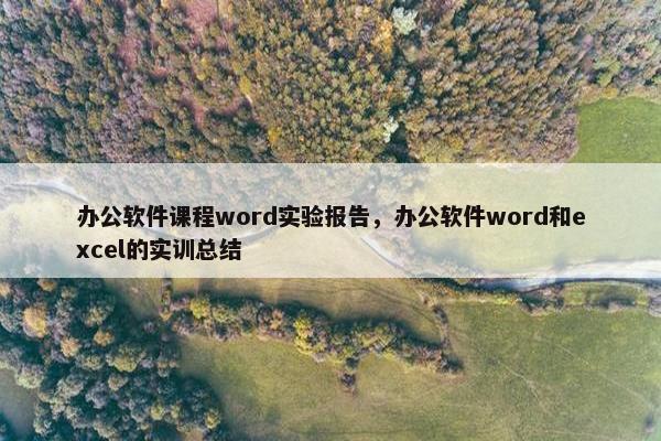 办公软件课程word实验报告，办公软件word和excel的实训总结