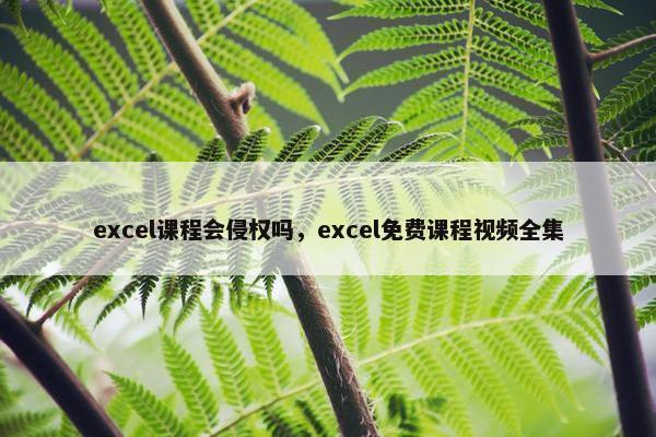 excel课程会侵权吗，excel免费课程视频全集