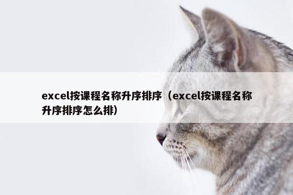 excel按课程名称升序排序（excel按课程名称升序排序怎么排）