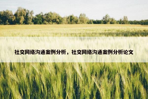 社交网络沟通案例分析，社交网络沟通案例分析论文