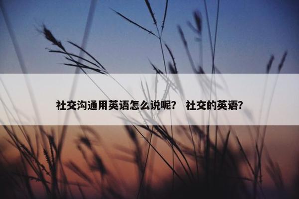 社交沟通用英语怎么说呢？ 社交的英语？