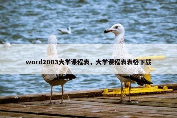 word2003大学课程表，大学课程表表格下载