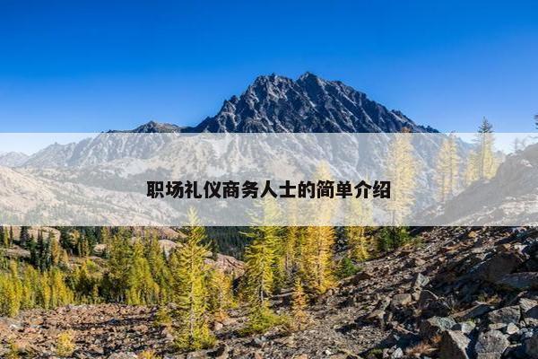 职场礼仪商务人士的简单介绍