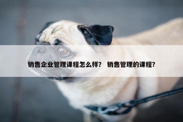 销售企业管理课程怎么样？ 销售管理的课程？
