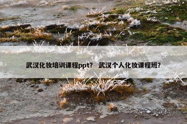 武汉化妆培训课程ppt？ 武汉个人化妆课程班？