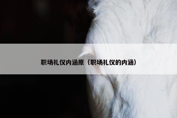 职场礼仪内涵原（职场礼仪的内涵）