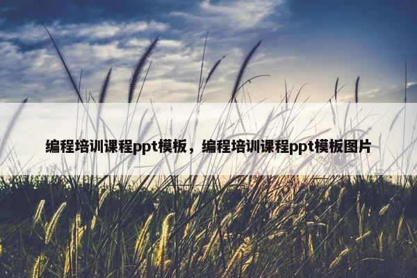 编程培训课程ppt模板，编程培训课程ppt模板图片