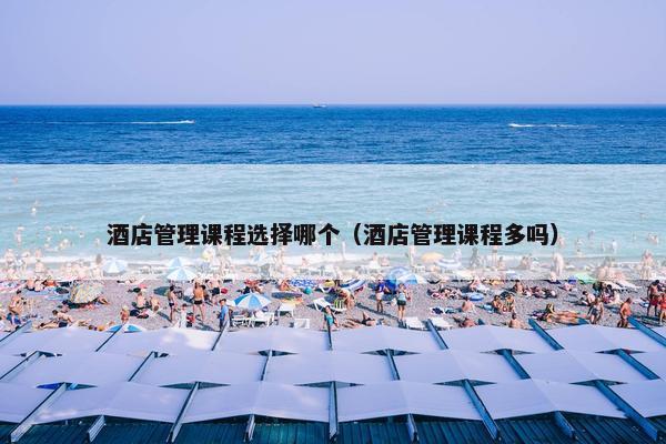 酒店管理课程选择哪个（酒店管理课程多吗）