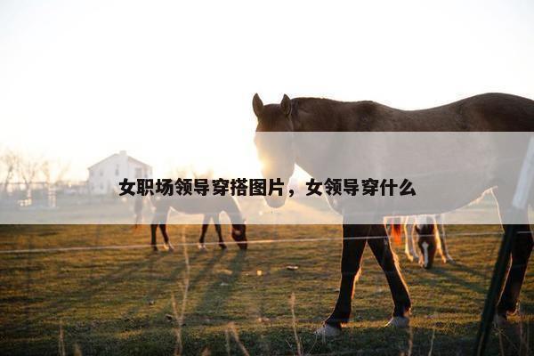 女职场领导穿搭图片，女领导穿什么