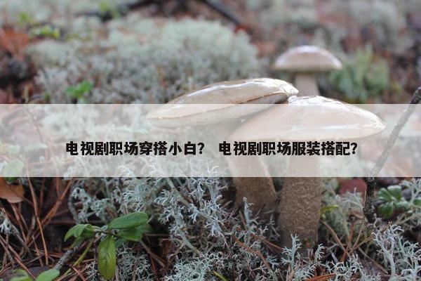 电视剧职场穿搭小白？ 电视剧职场服装搭配？