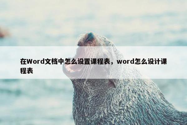 在Word文档中怎么设置课程表，word怎么设计课程表