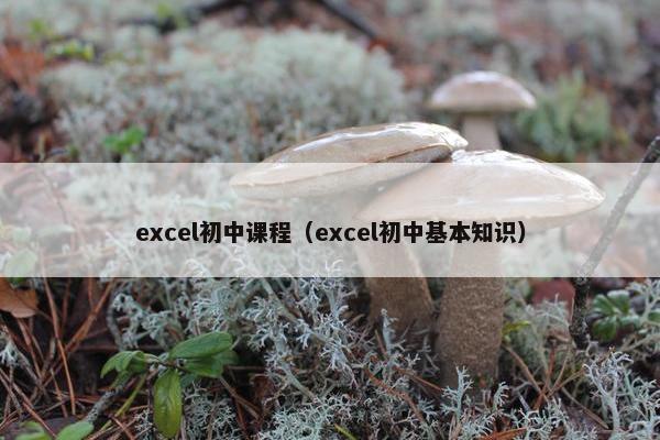 excel初中课程（excel初中基本知识）