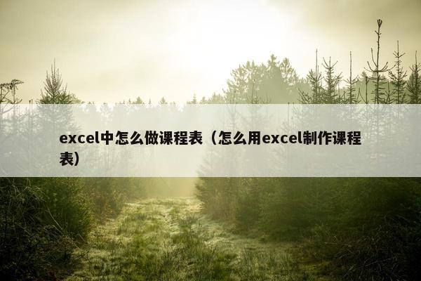 excel中怎么做课程表（怎么用excel制作课程表）