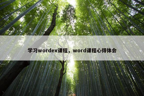学习wordex课程，word课程心得体会