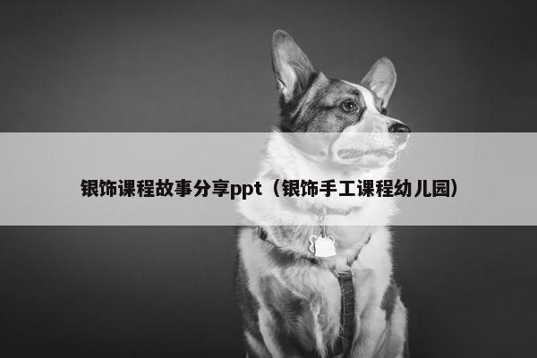 银饰课程故事分享ppt（银饰手工课程幼儿园）