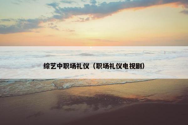 综艺中职场礼仪（职场礼仪电视剧）