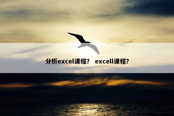 分析excel课程？ excell课程？