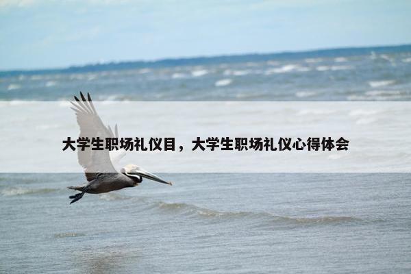 大学生职场礼仪目，大学生职场礼仪心得体会