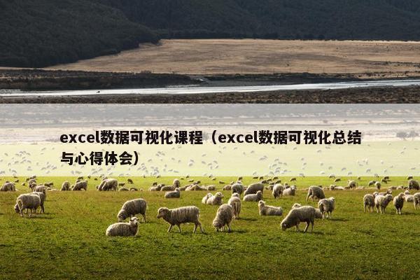 excel数据可视化课程（excel数据可视化总结与心得体会）