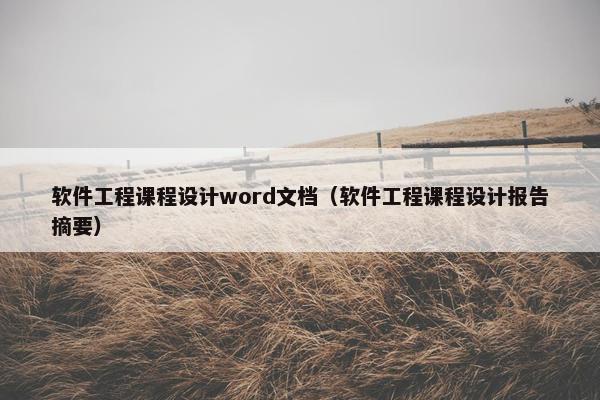 软件工程课程设计word文档（软件工程课程设计报告摘要）