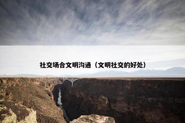 社交场合文明沟通（文明社交的好处）