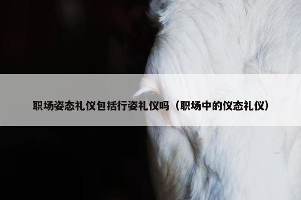 职场姿态礼仪包括行姿礼仪吗（职场中的仪态礼仪）