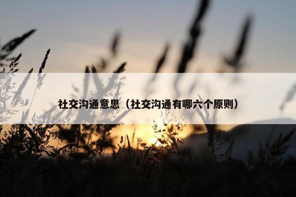 社交沟通意思（社交沟通有哪六个原则）