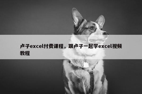 卢子excel付费课程，跟卢子一起学excel视频教程