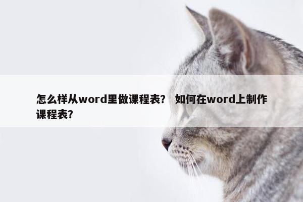 怎么样从word里做课程表？ 如何在word上制作课程表？